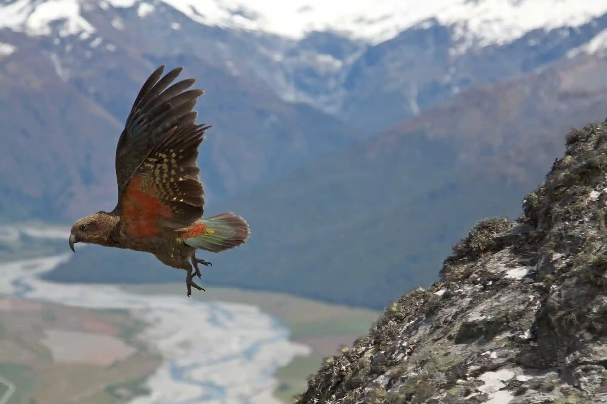 Wanaka Mountain Guides Our Story