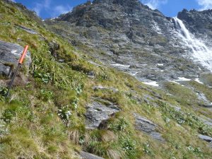 Wanaka Mountain Guides Rabbit Pass Trek